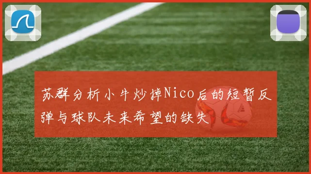 苏群分析小牛炒掉Nico后的短暂反弹与球队未来希望的缺失