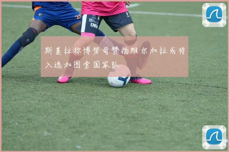 斯基拉称博努奇赞扬维尔加拉或将入选加图索国家队