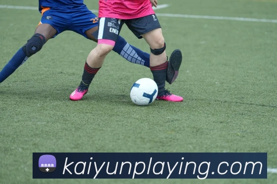 开云棋牌官网平台生态图